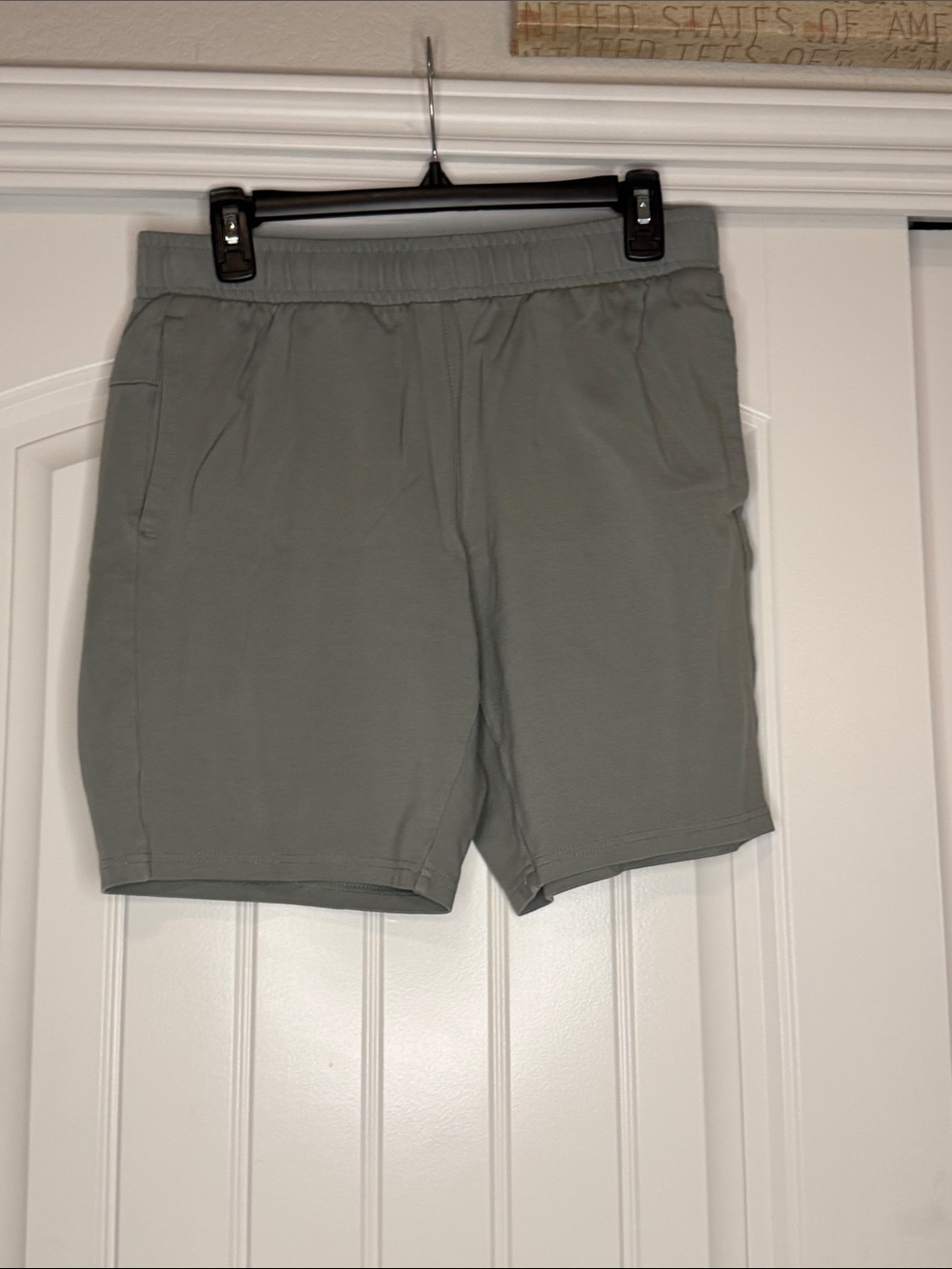 Men's Athletic Elastic Waist Shorts in Sage Green